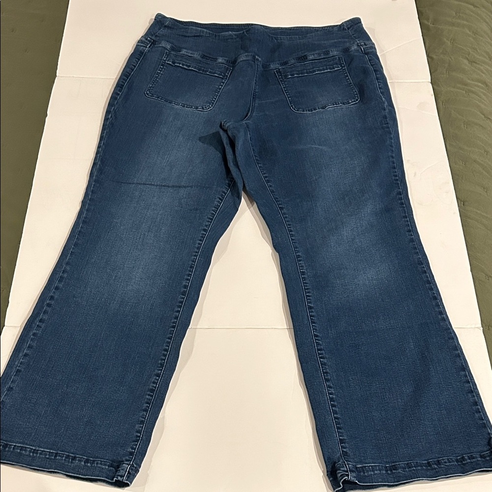 Belle by Kim Gravel Tripleluxe jeans 16P